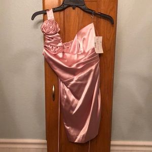 Brand New Pink Teeze Me Formal Dress